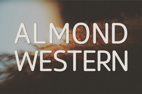 Almond Western: A Font for Business Brilliance