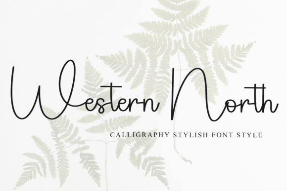 Western North Font Review